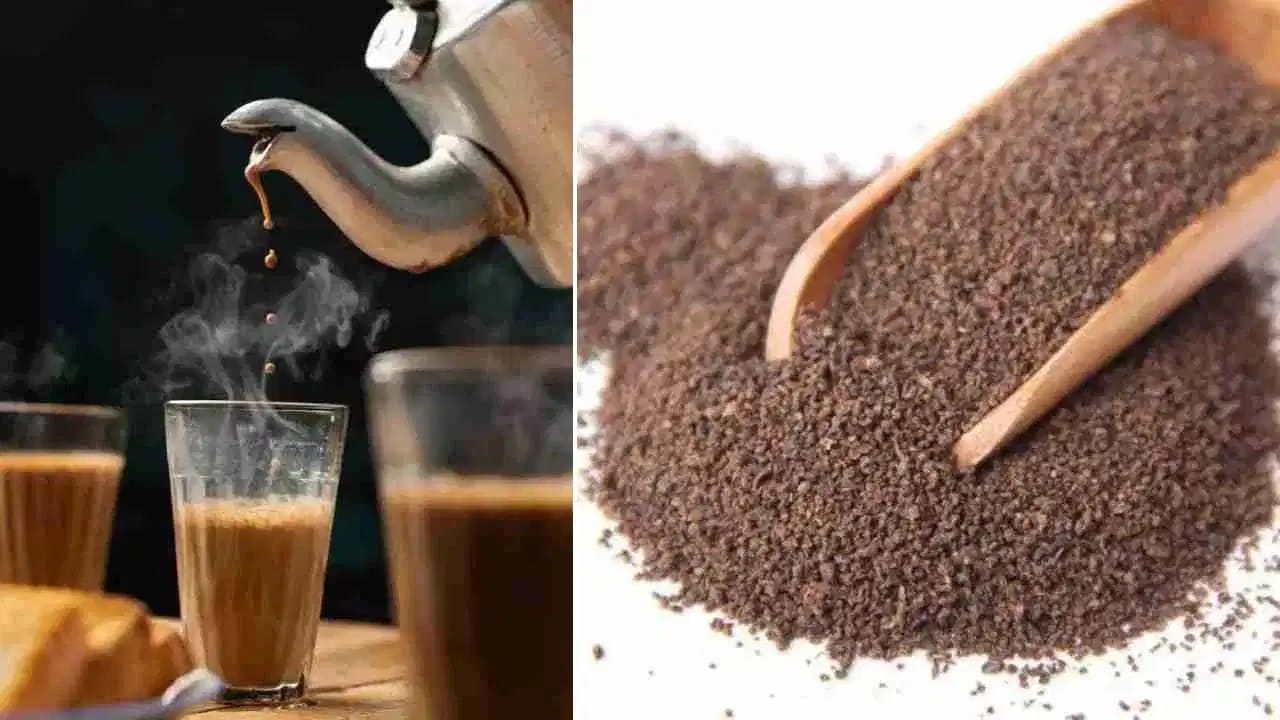 चहा प्यायल्यानंतर पावडर फेकून देताय! तिचा घर स्वच्छ करण्यासाठी करा उपयोग चहा प्यायल्यानंतर पावडर फेकून देताय! तिचा घर स्वच्छ करण्यासाठी करा उपयोग