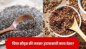चिया सीड्स की फ्लेक्स सीड्स? हृदयाच्या आरोग्यासाठी कोणते अधिक फायदेशीर? जाणून घ्या