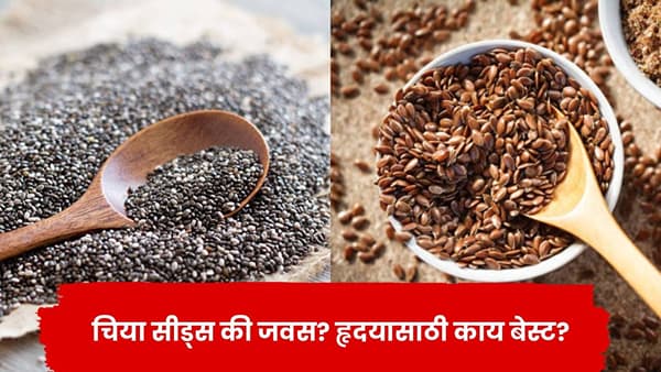 चिया सीड्स की फ्लेक्स सीड्स? हृदयाच्या आरोग्यासाठी कोणते अधिक फायदेशीर? जाणून घ्या