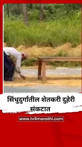 सिंधुदुर्गातील शेतकरी दुहेरी संकटात