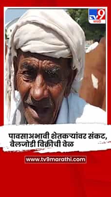 जळगाव - चोपडा तालुक्यात पावसाअभावी शेतकऱ्यांवर संकट, बैलजोडी विक्रीची वेळ-1772750