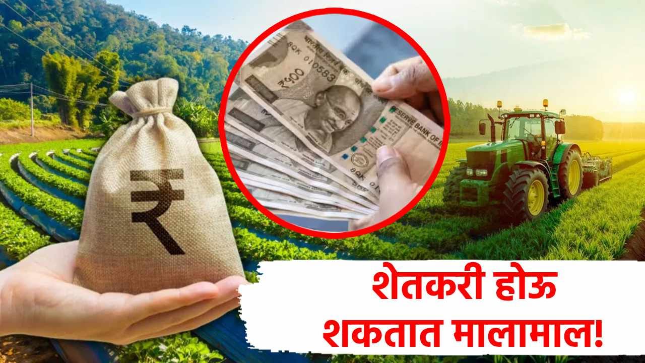Best Farming : दुष्काळ असला तरी शेतकरी होणार मालामाल, फक्त करा या गोष्टी, भरपूर पैशांची हमखास गॅरंटी! Best Farming : दुष्काळ असला तरी शेतकरी होणार मालामाल, फक्त करा या गोष्टी, भरपूर पैशांची हमखास गॅरंटी!
