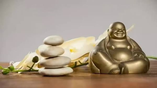 Feng Shui : घरात ठेवा फक्त या चार मूर्ती, आयुष्यच बदलेल, घर पैशांनी भरून जाईल