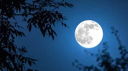दूध, चांदणं आणि प्रेमाचा गोडवा! प्रियजनांना पाठवा......