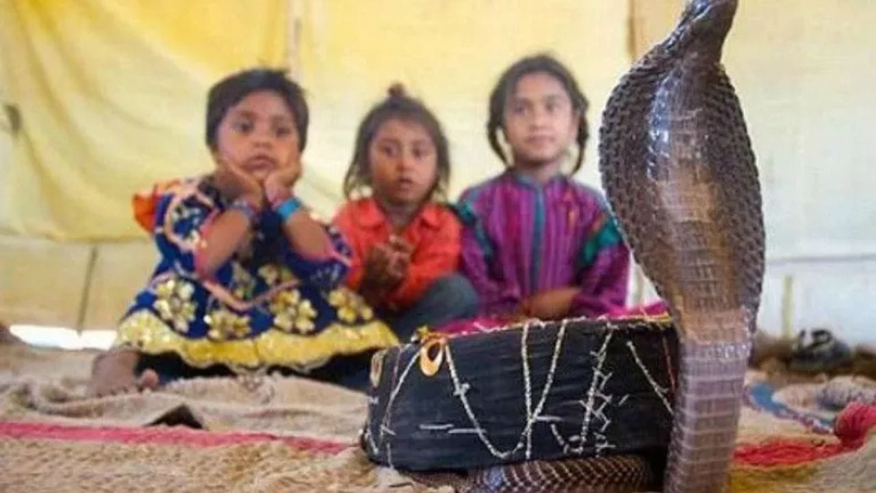 या गावात नवीन घर बांधताना छतामध्ये किंवा भिंतीमध्ये सापांना राहण्यासाठी आणि विश्रांती घेण्यासाठी एक विशेष मोकळी जागा सोडली जाते. ज्याला देवस्थानम् म्हणतात.