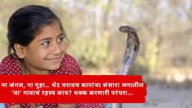 ना जंगल, ना गुहा… थेट घरातच सापांचा संसार! जगातील 'या' गावाचं रहस्य काय? थक्क करणारी परंपरा...