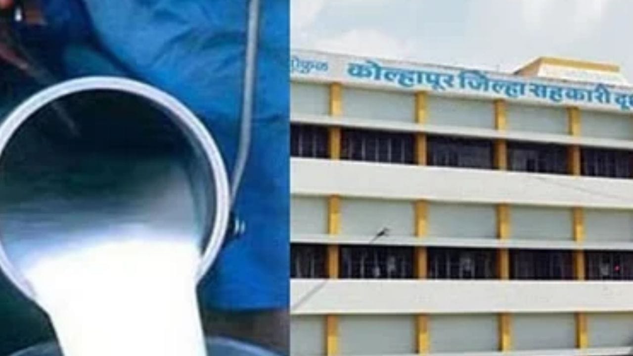 कोल्हापुरात गोकुळ दूधसंघ निवडणुकीची मतमोजणी होत आहे. या निवडणुकीत महायुती विरुद्ध महाविकास आघाडी सामना होत आहे. कोल्हापुरात एकूण 35 मतदान केंद्र होते.दूधसंघाच्या निवडणुकीत 50 उमेदवार रिंगणात होते. कोल्हापूर जिल्ह्यातील आजरा, करवीर, कागल, गगनबावडा, गडहिंग्लज, चंदगड, पन्हाळा, भुदरगड, राधानगरी, शाहूवाडी, शिरोळ, हातकणंगले या तालुक्यातून मतदान पार पडलं.  