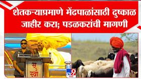 दुष्काळात मेंढपाळांनाही मदत द्या; पडळकरांची मागणी, धनगर आरक्षणावर मोठं विधान!