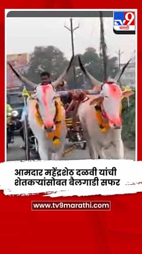 दसऱ्यानिमित्त आमदार महेंद्रशेठ दळवी यांची शेतकऱ्यांसोबत बैलगाडी सफर