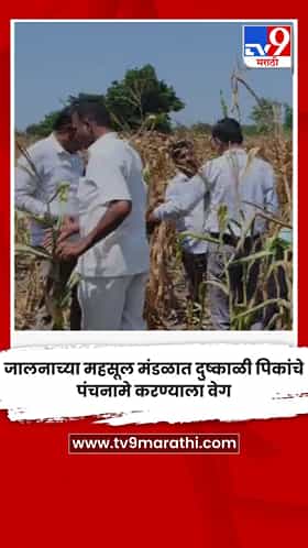 जालनाच्या महसूल मंडळात दुष्काळी पिकांचे पंचनामे करण्याला वेग