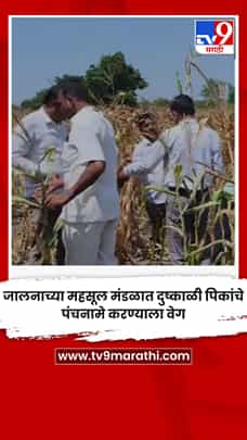 जालनाच्या महसूल मंडळात दुष्काळी पिकांचे पंचनामे करण्याला वेग-1775439