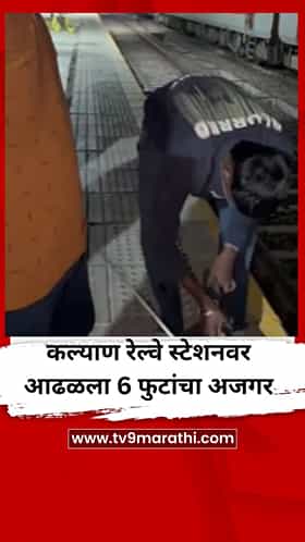 कल्याण रेल्वे स्टेशनवर आढळला 6 फुटांचा अजगर, प्रवाशांमध्ये भीतीचं वातावरण