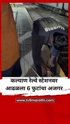 कल्याण रेल्वे स्टेशनवर आढळला 6 फुटांचा अजगर, प्रवाशांमध्ये भीतीचं वातावरण-1779808