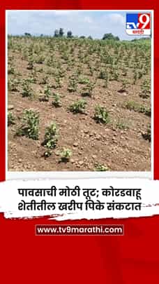 पावसाची मोठी तूट; कोरडवाहू शेतीतील खरीप पिके संकटात-1771017
