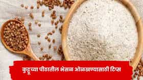 नवरात्रीच्या उपवासात कुट्टूचं पीठ वापरताय? भेसळ ओळखण्यासाठी मदत करतील ‘या’ टिप्स