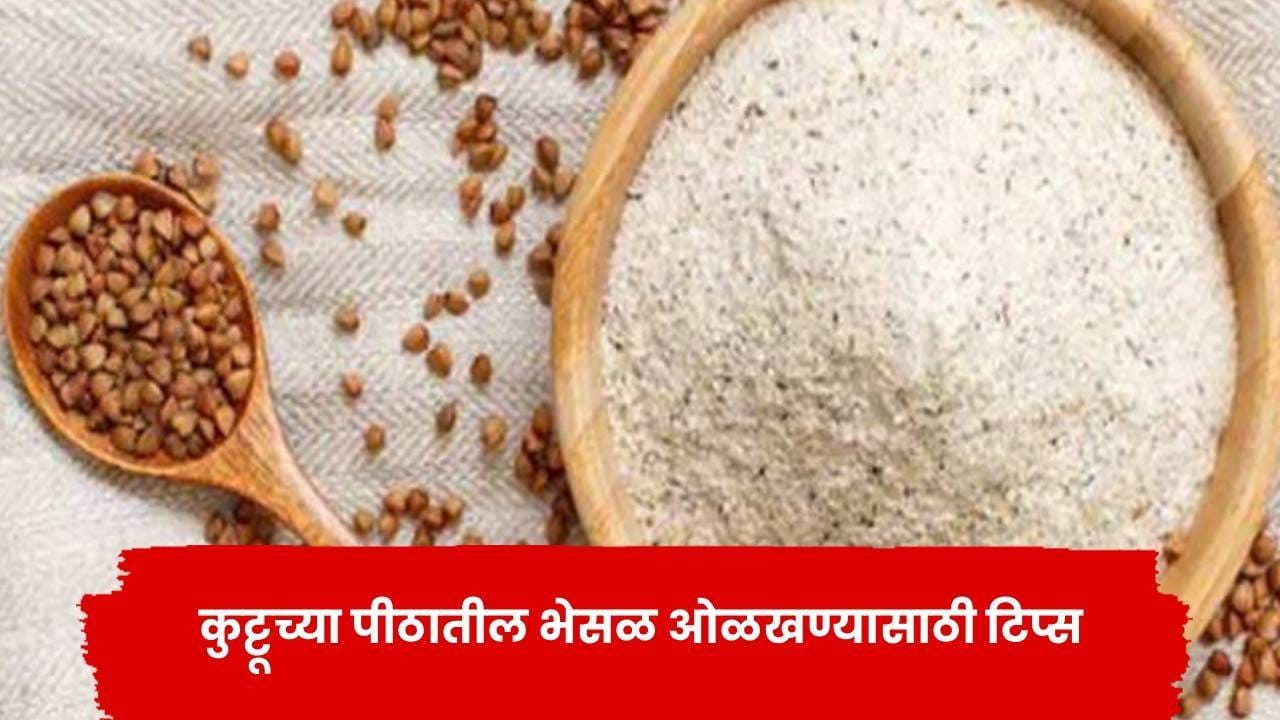 नवरात्रीच्या उपवासात कुट्टूचं पीठ वापरताय? भेसळ ओळखण्यासाठी मदत करतील ‘या’ टिप्स नवरात्रीच्या उपवासात कुट्टूचं पीठ वापरताय? भेसळ ओळखण्यासाठी मदत करतील ‘या’ टिप्स