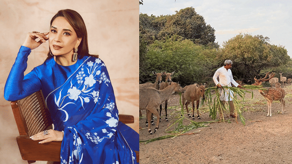Madhuri Dixit: माधुरी दीक्षित आज असती राजघराण्याची सून, तब्बल 1420 कोटींची मालकीण, पण बिनसलं कुठे?