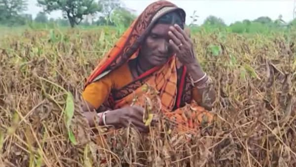 Maharashtra Drought : केंद्रीय पथक आज शेतीच्या बांधावर; दुष्काळी स्थितीचा अहवाल थेट दिल्लीत पाठवणार