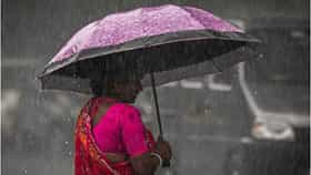Rain Update : पुढचे दोन दिवस महत्त्वाचे! या जिल्ह्यांत पावसाची शक्यता, IMD चा नवा अंदाज समोर!