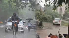 Maharashtra Rain Update : झाडं कोसळली, लोकांची ताराबंळ, महाराष्ट्रात पाऊस परतला, सांगली ते धुळे..कुठं कुठं सरी बरसल्या?