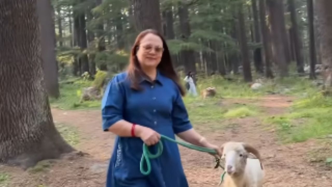 ती चित्रपटसृष्टीपासून लांब असली तरी सोशल मीडियाच्या माध्ममातून ती व्यक्त होत असते. तिने नुकतेच आपल्या सोशल मिडिया अकाउंटवर तिचे मनालीतील फोटो आणि व्हिडिओ शेअर केले.त्यात कॅप्शन देत ती मनालीत घालवलेल्या त्या दिवसांना आठवणींना उजाळा देत आहे.