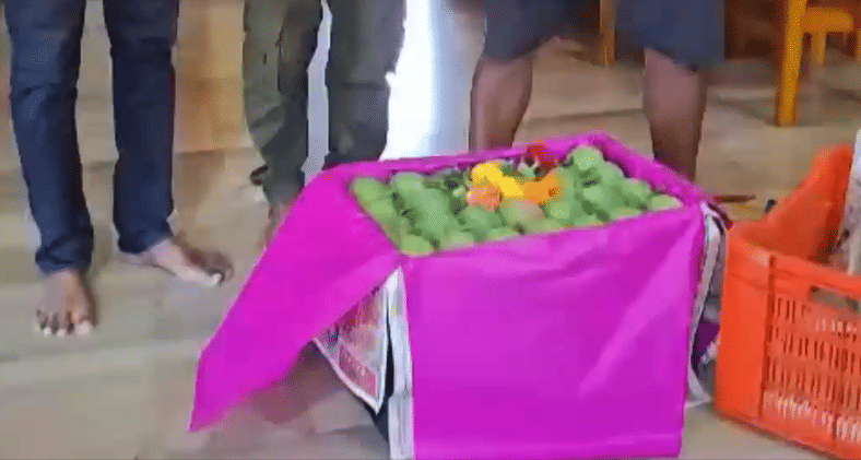 कोकणचा राजा म्हटला जाणारा हापूस आंबा हा चवीला अतिशय मधूर आणि अविट गोडीचा असता.या आंब्याला परदेशातही मागणी असते.