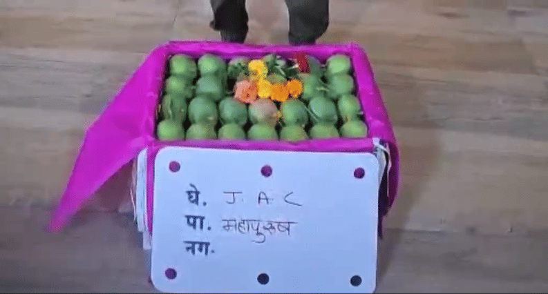 हापूस आंबे म्हटले की उन्हाळ्याची वाट पाहायला लागते. एप्रिल महिना आला की बाजारात आंब्यांचा सुंगध दरवळायला लागतो. एप्रिल महिन्यातील हापूस आंबा हा महागडा असतो. मे महिना आला की त्याची किंमत कमी होते आणि तो सर्वसामान्यांना परवडतो.