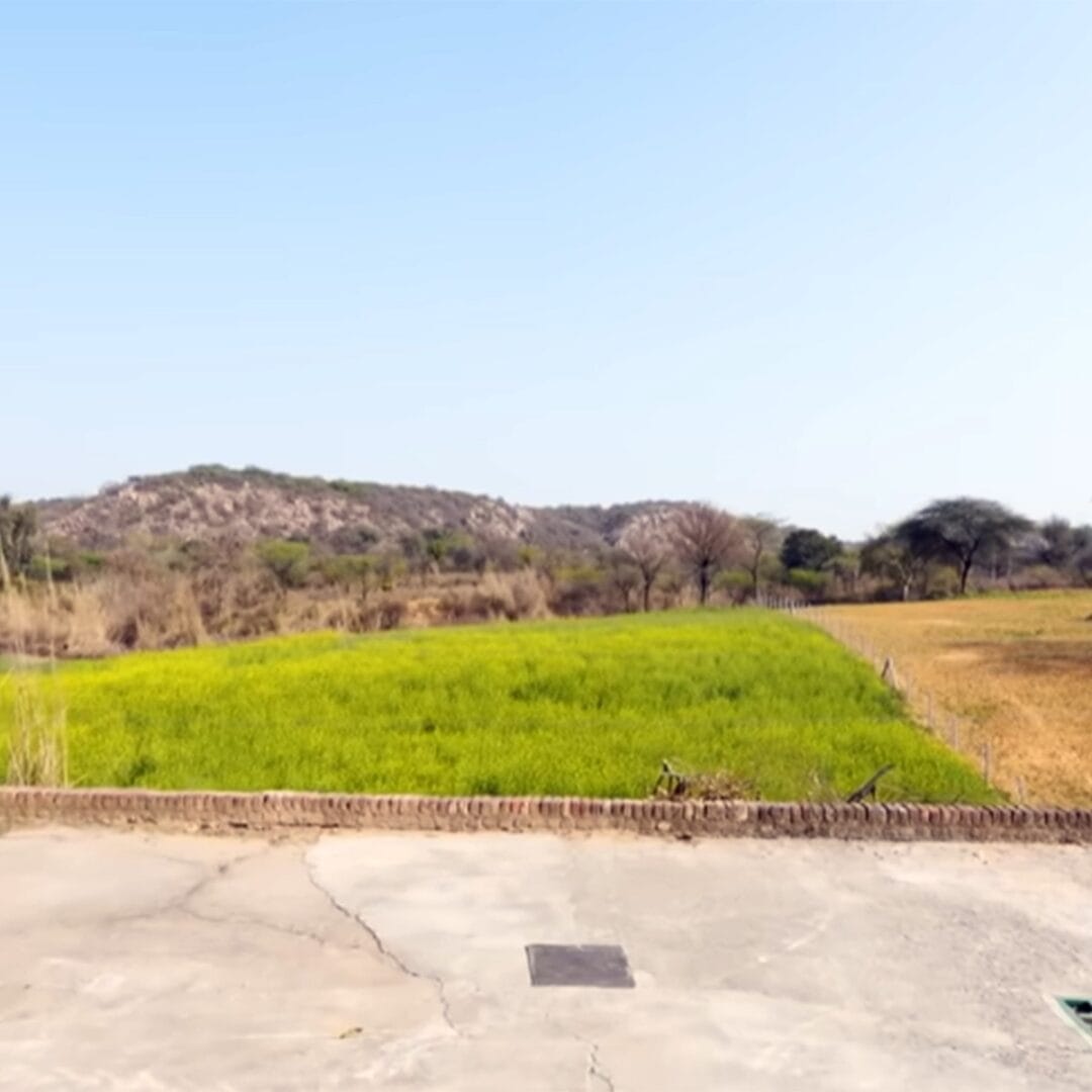 मीकाने एका मुलाखतीत आपल्या फार्महाऊसबाबतचा प्रवास सांगितला. सुरुवातीला त्याने केवळ दोन एकर जमीन खरेदी केली होती. त्या वेळी हा परिसर जवळपास जंगलासारखा होता. मीका अधूनमधून तिथे जाऊन आराम करायचा, स्वतः जेवण बनवायचा आणि निसर्गाच्या सान्निध्यात तंबूत राहायचा.