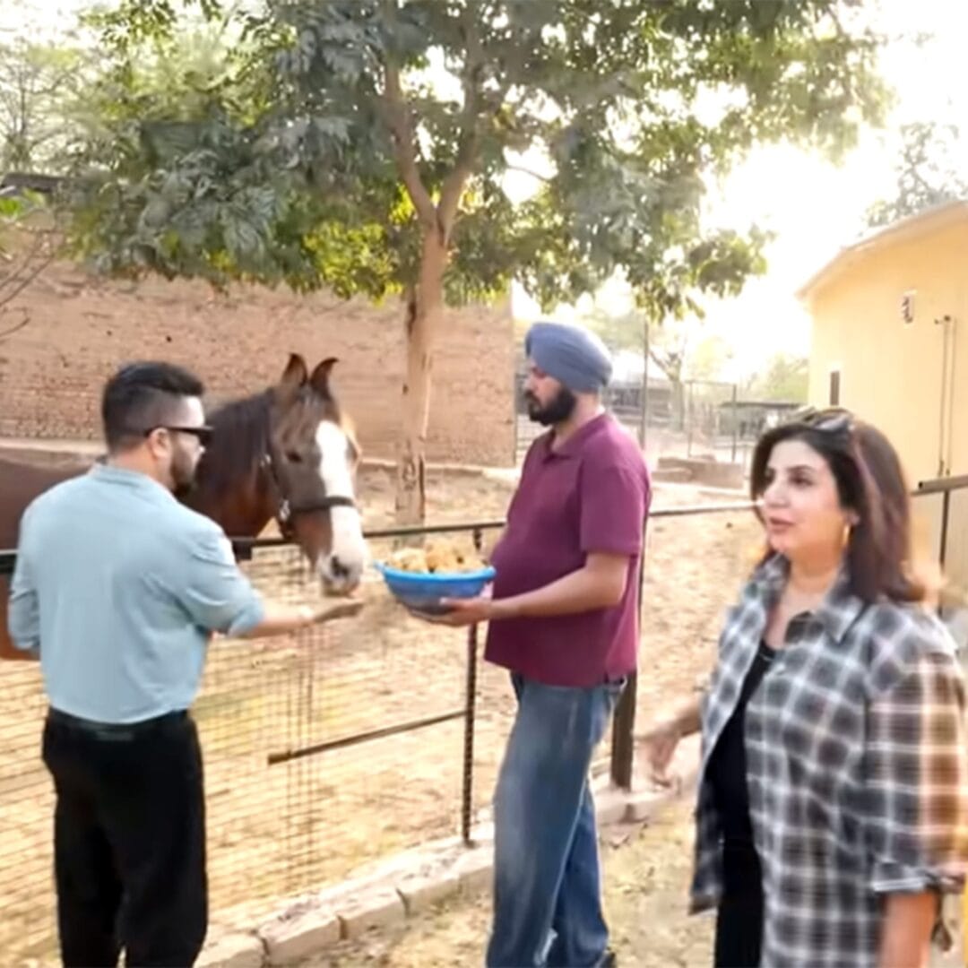 मीकाच्या या भव्य फार्महाऊसमध्ये केवळ आलिशान घरच नाही, तर घोडे, उंट, ट्रॅक्टर, शेती आणि हेलिपॅडसारख्या अनेक सुविधा आहेत. तिथे मोहरीची शेती, विविध भाज्या आणि फळांचं उत्पादनही केलं जातं. याशिवाय खासगी स्टुडिओ आणि मोठ्या कार्यक्रमांसाठी जागाही आहे.