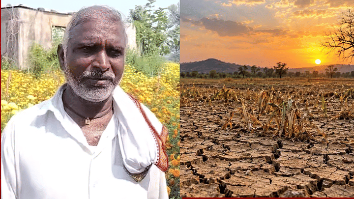 दुष्काळी परिस्थितीतून मार्ग काढत नांदेडच्या शेतकऱ्याची मोठी कामगिरी! आधी प्रयोग केला अन् नंतर 20 गुंठ्यात... दुष्काळी परिस्थितीतून मार्ग काढत नांदेडच्या शेतकऱ्याची मोठी कामगिरी! आधी प्रयोग केला अन् नंतर 20 गुंठ्यात...