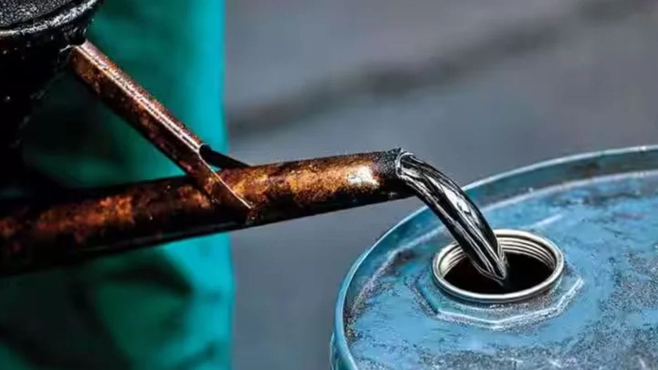 कच्च्या तेलाच्या किमती प्रति बॅरल 113 डॉलरपर्यंत वाढलाय. त्यामुळे अन्न आणि दैनंदिन गरजेच्या वस्तूंच्या किमती लक्षणीयरीत्या वाढल्यात