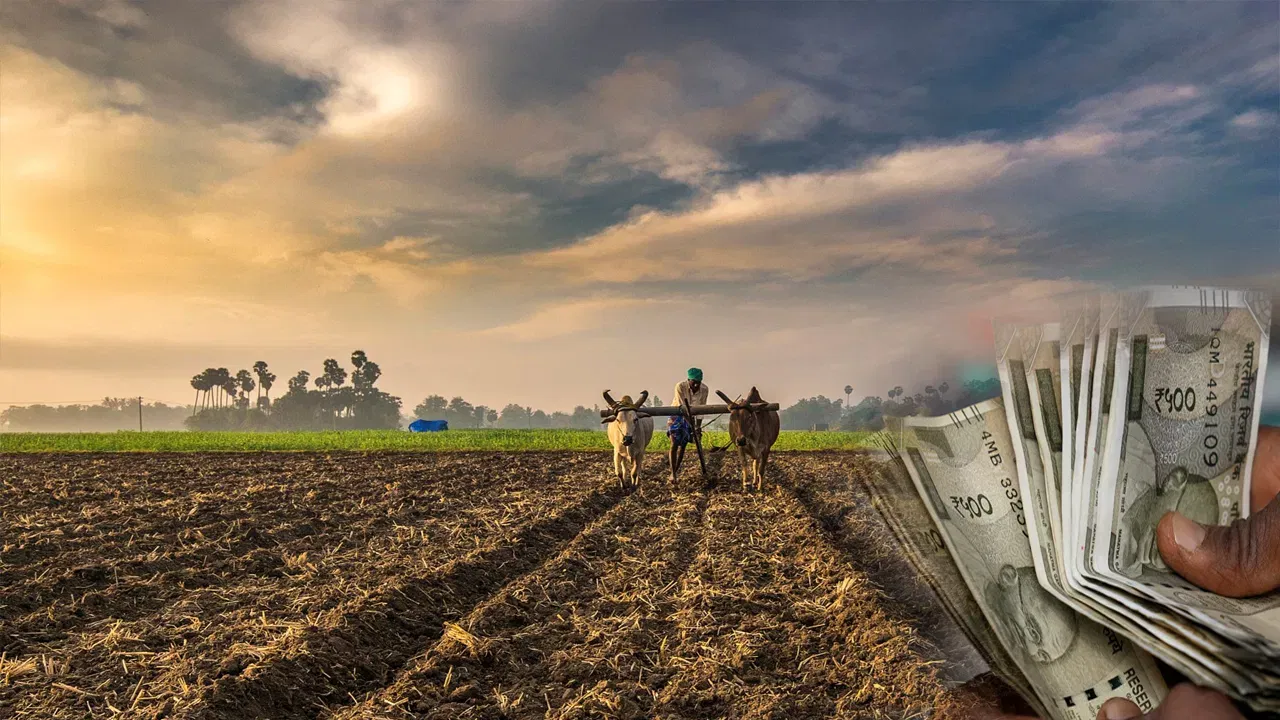 ज्या शहरातून २४ वा हप्ता दिला जाणार आहे, त्या शहराबद्दल माहिती समोर आली आहे. वास्तविक पाहता, हा हप्ता शुक्रवार, ३० ऑक्टोबर रोजी गुजरातमधील बनासकांठा येथून दिला जाणार आहे. या हप्त्याची वाट पाहणाऱ्या शेतकऱ्यांना दिवाळीच्या सणापूर्वी आनंदाची बातमी मिळणार आहे.