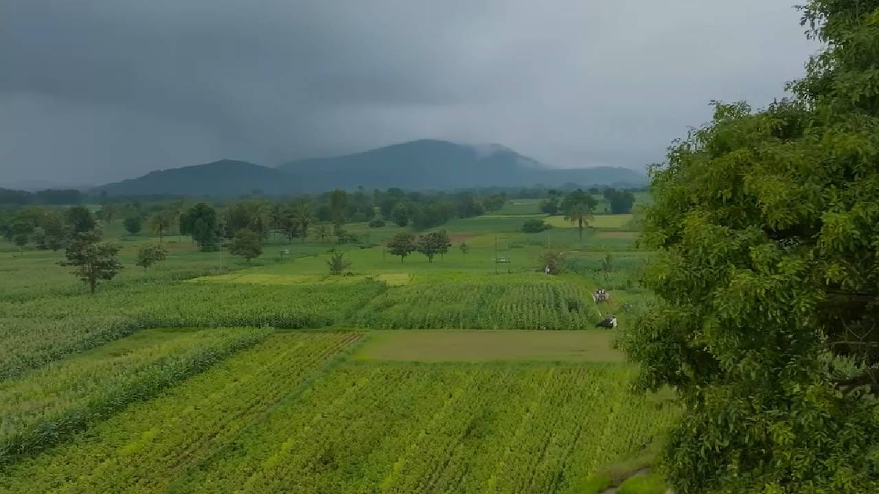 ‘प्रेमदा ऊराली’ हा कन्नड भाषेतील चित्रपट 25 सप्टेंबर 2026 रोजी चित्रपटगृहांमध्ये प्रदर्शित झाला. या चित्रपटाचं दिग्दर्शन मनोज कुमार यांनी केलं आहे. सुरुवातीला चित्रपटाला फारसा प्रतिसाद मिळत नसल्याचं चित्र होतं. पहिल्या दिवशी केवळ 60 शो मिळाले, तर कमाईही अवघी नऊ लाख रुपये होती. मात्र, पुढील काही दिवसांत चित्रपटाची लोकप्रियता वाढू लागली.