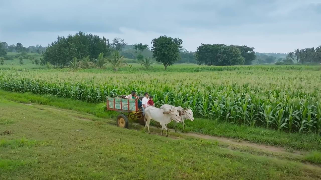 लग्नाच्या आमंत्रणपत्रिकांसारखी पत्रकं तयार करून ती लोकांमध्ये वाटण्यात आली. या अनोख्या प्रचारपद्धतीमुळे चित्रपटाविषयी उत्सुकता निर्माण झाली. चित्रपटात रंगायन रघू, श्री राम, तपस्विनी पूनाचा आणि रामिका शिवू यांसारखे कलाकार आहेत. ग्रामीण पार्श्वभूमीवर आधारित या चित्रपटात कौटुंबिक नाती, प्रेम आणि भावनिक गुंतागुंत दाखवण्यात आली आहे.