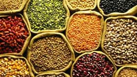 Price Hike : ऐन दिवळीत महागाईचा झटका, डाळ, तांदळाची किंमत थेट...खिशाला मोठी झळ