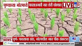भोरमध्ये भातशेती संकटात; पावसाअभावी जमिनीला भेगा, हातातोंडाशी आलेलं...-1772126