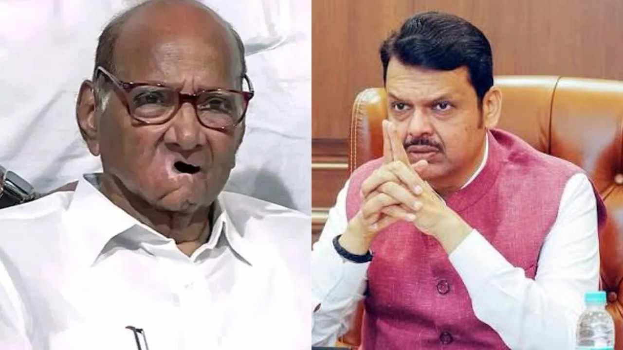 Pune Graduate MLC Election Result Updates : पुण्यात आकडे फिरले, भाजपाला धडकी भरवणारा ट्विस्ट, पदवीधरमध्ये पवारांच्या उमेदवाराची जोरदार मुसंडी! Pune Graduate MLC Election Result Updates : पुण्यात आकडे फिरले, भाजपाला धडकी भरवणारा ट्विस्ट, पदवीधरमध्ये पवारांच्या उमेदवाराची जोरदार मुसंडी!