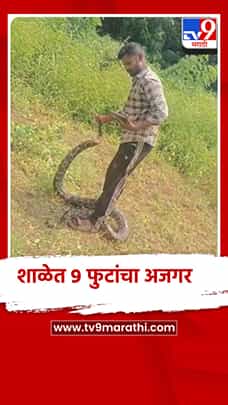 कोल्हापुरच्या पन्हाळा - वाघबाळी शाळेत 9 फुटांचा आढळला अजगर-1769034