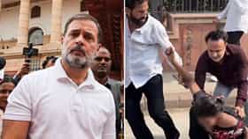 राहुल गांधी जिला महिला म्हणाले, तो निघाला बाप्या, त्या व्हिडीओची पोलखोल; भाजपचा हल्लाबोल