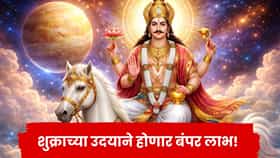 दिवाळीआधीच 8 राशींवर लक्ष्मीची कृपा, शुक्राच्या उदयाने होणार बंपर लाभ!
