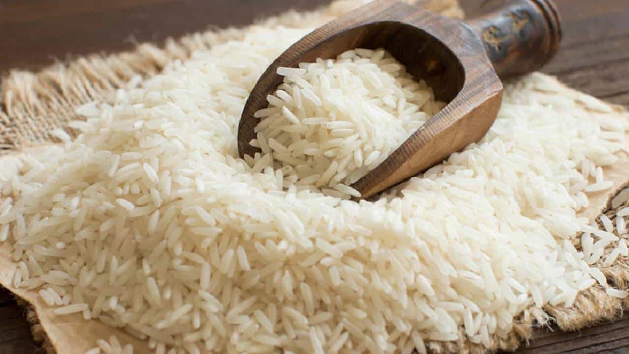 Rice Price Hike : दिवाळीआधी तांदळाच्या दरात किलोमागे एवढ्या रुपयांची वाढ; सर्वसामान्यांचं बजेट कोलमडलं Rice Price Hike : दिवाळीआधी तांदळाच्या दरात किलोमागे एवढ्या रुपयांची वाढ; सर्वसामान्यांचं बजेट कोलमडलं