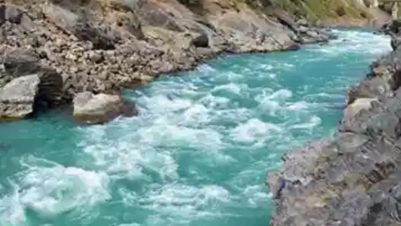 माशांना पीठ खाऊ घातल्याने घरातील नकारात्मक ऊर्जा नाहीसे होते. त्याचबरोबर पूर्वजांच्या ऋणातून मुक्तता होते. यामुळे घरावरील आर्थिक संकट दूर होते. संपत्तीत वाढ होते.