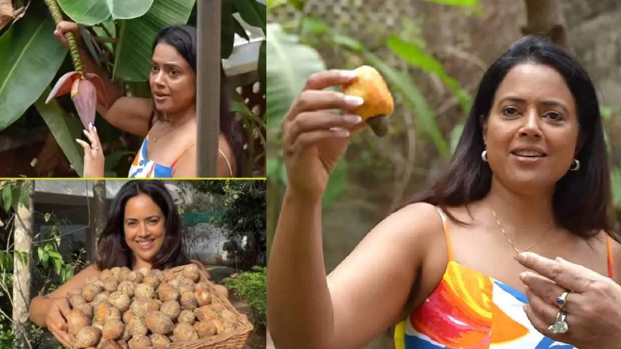 समीराने सांगितलं की, पूर्वी तिचे खूप नखरे असायचे; मात्र गोव्यात राहायला आल्यानंतर तिने स्वतःमध्ये अनेक बदल केले. झाडू मारण्यापासून, घर पुसण्यापर्यंत आणि घरातील इतर कामांपर्यंत सर्व गोष्टी तिने स्वतः करायला शिकून घेतल्या.