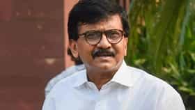 Sanjay Raut : भाडोत्री गुंडांना पोलिसांचा गणवेश अन्... दिल्लीतील आंदोलनावरून संजय राऊतांचा गंभीर आरोप