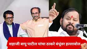 बाळासाहेब असताना गर्जना डरकाळी होती, आता फक्त...शहाजी बापू पाटलांची ठाकरे बंधूंवर सडकून टीका