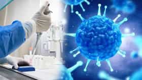 Shamonda Virus : नव्या शामोंडा व्हायरसने जगात प्रचंड खळबळ, एकाचा मृत्यू, उपचार उपलब्ध नसल्याने यंत्रणा अलर्ट, लागण कशी होते?