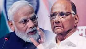 पंतप्रधान नरेंद्र मोदी हे शरद पवारांचे जुने मित्र, संजय राऊतांच्या विधानाने भुवया उंचावल्या