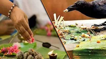 पितृपक्षात अचानक दिसले हे ५ संकेत? समजा पूर्वजांची आहे कृपादृष्टी.