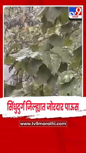 सिंधुदुर्ग जिल्ह्यात वादळी पाऊस: कुडाळ, नारुर प्रभावित, भातपीक धोक्यात
