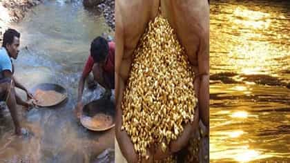भारतातील अशी नदीच्या जिच्या पाण्यात सोन्याचे कण सापडतात, कुठे आहे ?.